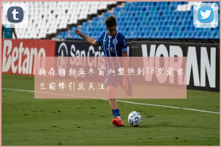 梅森梅利亚冬窗加盟热刺18岁爱尔兰前锋引发关注
