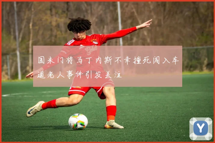 国米门将马丁内斯不幸撞死闯入车道老人事件引发关注