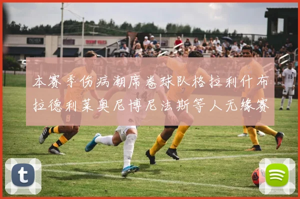 本赛季伤病潮席卷球队格拉利什布拉德利莱奥尼博尼法斯等人无缘赛季余下比赛