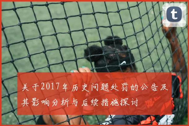 关于2017年历史问题处罚的公告及其影响分析与后续措施探讨