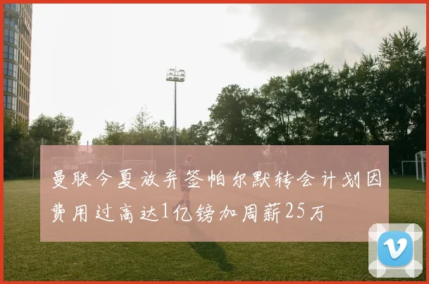 曼联今夏放弃签帕尔默转会计划因费用过高达1亿镑加周薪25万