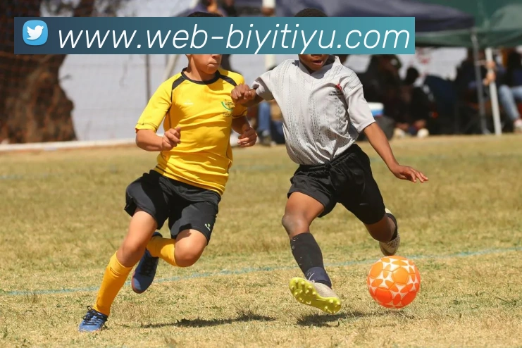 必一体育平台生态图